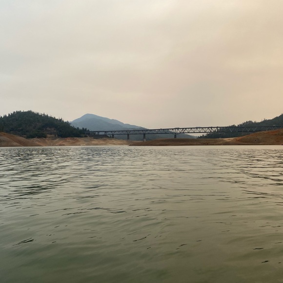 Meet your Posher, Bella - Picture 1 of 1